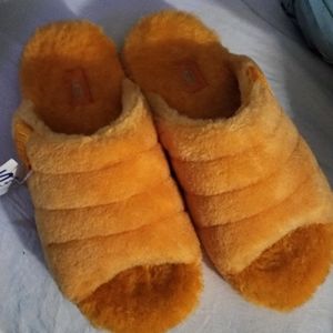 Men's Ugg Slippers